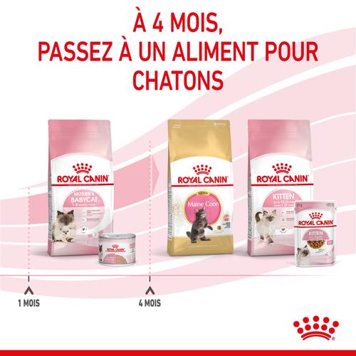 Visuel 4 du produit Pâtée pour chatte en gestation ou allaitante et chaton Mousse Royal Canin Babycat Instinctive - 195 g
