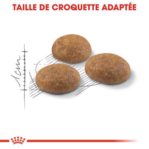 Visuel 3 du produit Croquettes pour chat adulte d'extérieur Royal Canin Outdoor - 4 kg