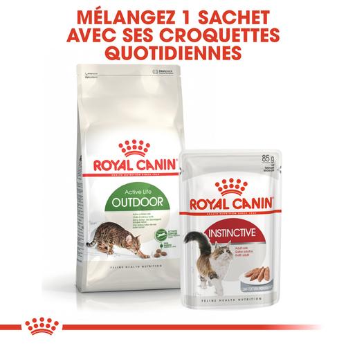 Visuel 4 du produit Croquettes pour chat adulte d'extérieur Royal Canin Outdoor - 4 kg