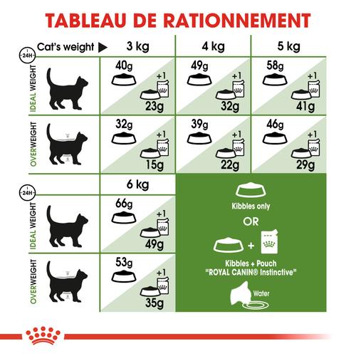 Visuel 7 du produit Croquettes pour chat adulte d'extérieur Royal Canin Outdoor - 4 kg