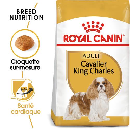 Visuel 2 du produit Croquettes pour chien adulte Cavalier King Charles Royal Canin - 3 kg