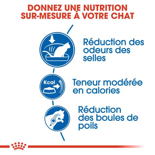 Visuel 5 du produit Croquettes pour chat adulte d'intérieur Royal Canin Indoor 27 - 4 kg