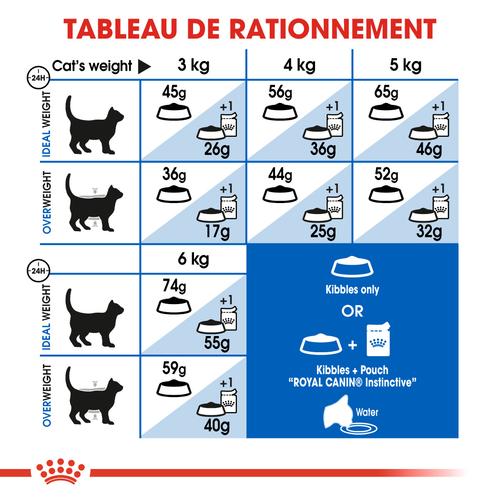 Visuel 7 du produit Croquettes pour chat adulte d'intérieur Royal Canin Indoor 27 - 4 kg