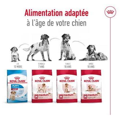 Visuel 9 du produit Croquettes pour chien de taille moyenne mature Royal Canin Medium Adult 7+ - 4 kg