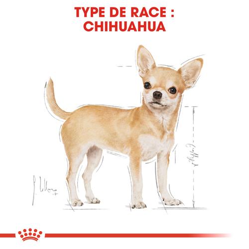 Visuel 4 du produit Croquettes pour chien adulte Chihuahua Royal Canin - 3 kg