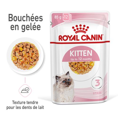 Visuel 3 du produit Pâtées pour chaton en gelée Royal Canin Kitten Instinctive - 12 x 85 g