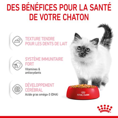 Visuel 5 du produit Pâtées pour chaton en gelée Royal Canin Kitten Instinctive - 12 x 85 g