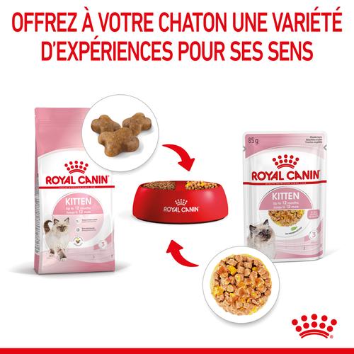 Visuel 7 du produit Pâtées pour chaton en gelée Royal Canin Kitten Instinctive - 12 x 85 g