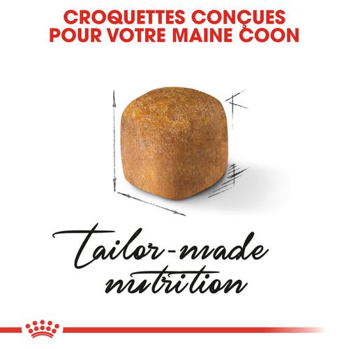 Visuel 3 du produit Croquette pour chaton et chatte adulte en gestation Maine Coon Royal Canin - 2 kg