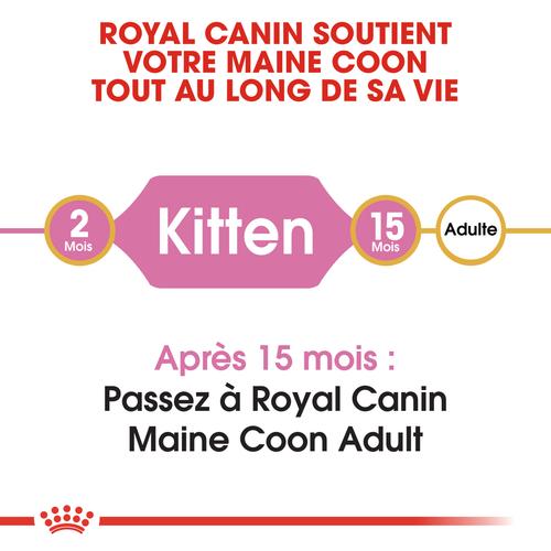 Visuel 6 du produit Croquette pour chaton et chatte adulte en gestation Maine Coon Royal Canin - 2 kg