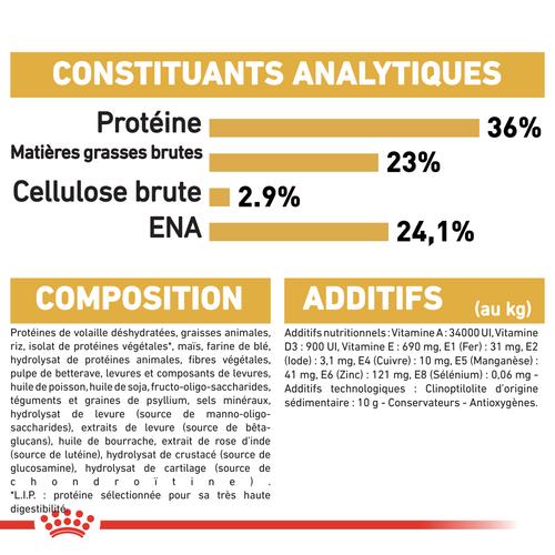 Visuel 7 du produit Croquette pour chaton et chatte adulte en gestation Maine Coon Royal Canin - 2 kg