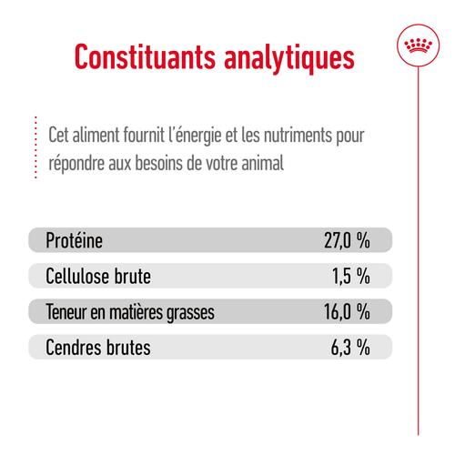 Visuel 12 du produit Croquettes pour chien mature de petite taille Royal Canin Mini Adult 8+ - 4 kg