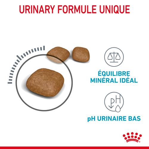 Visuel 2 du produit Croquettes pour chat adulte système urinaire Royal Canin Urinary Care - 2 kg