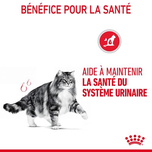 Visuel 5 du produit Croquettes pour chat adulte système urinaire Royal Canin Urinary Care - 2 kg
