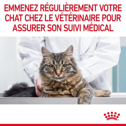 Visuel 9 du produit Croquettes pour chat adulte système urinaire Royal Canin Urinary Care - 2 kg