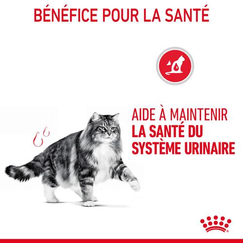 Visuel 6 du produit Pâtées pour chat adulte émincés en sauce Royal Canin Urinary Care - 12 x 85 g