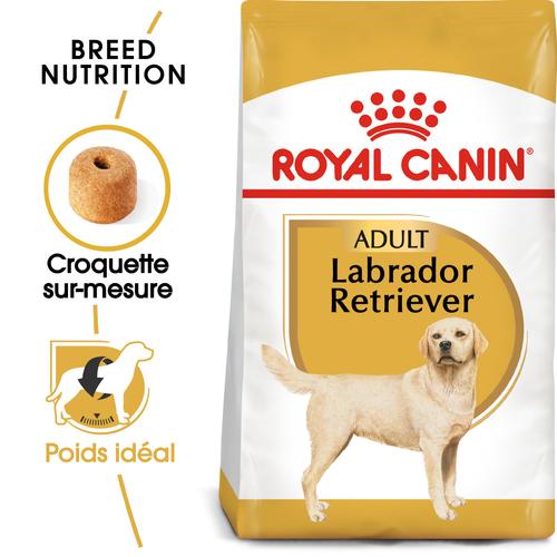 Visuel 2 du produit Croquettes pour chien adulte Labrador Retriever Royal Canin - 12 kg