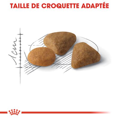 Visuel 3 du produit Croquettes pour chat adulte difficile Royal Canin Savour Exigent - 2 kg