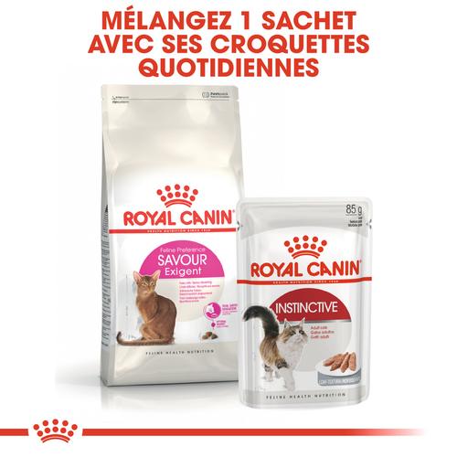 Visuel 4 du produit Croquettes pour chat adulte difficile Royal Canin Savour Exigent - 2 kg