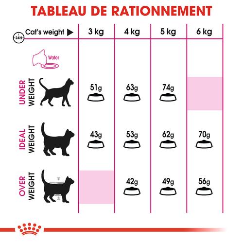 Visuel 6 du produit Croquettes pour chat adulte difficile Royal Canin Savour Exigent - 2 kg