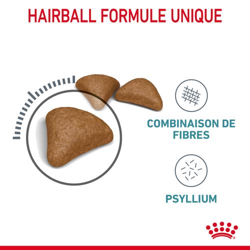 Visuel 4 du produit Croquettes pour chat Royal Canin Hairball Care - 4 kg