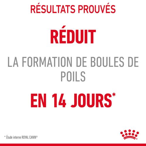 Visuel 5 du produit Croquettes pour chat Royal Canin Hairball Care - 4 kg
