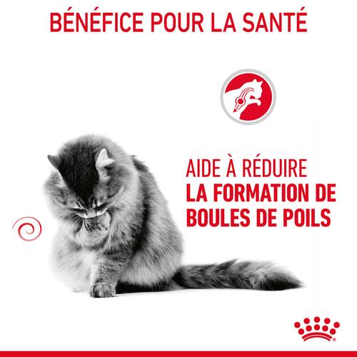 Visuel 9 du produit Croquettes pour chat Royal Canin Hairball Care - 4 kg