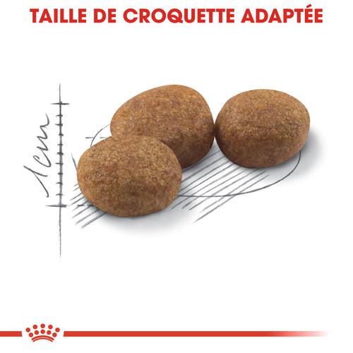 Visuel 3 du produit Croquettes pour chat adulte stérilisé Royal Canin Sterilised 37 - 10 kg