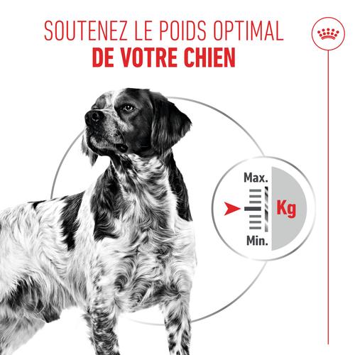 Visuel 3 du produit Pâtées pour chat stérilisé en mousse Royal Canin Sterilised - 12 x 85 g