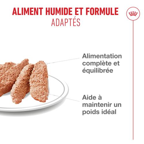 Visuel 4 du produit Pâtées pour chat stérilisé en mousse Royal Canin Sterilised - 12 x 85 g