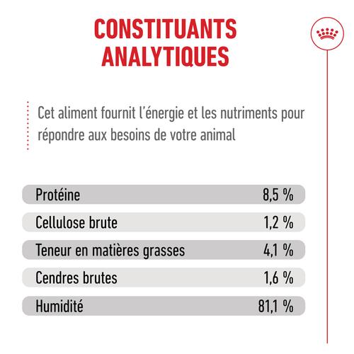 Visuel 7 du produit Pâtées pour chat stérilisé en mousse Royal Canin Sterilised - 12 x 85 g