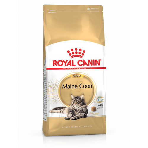 Visuel 1 du produit Croquettes pour chat adulte Maine Coon Royal Canin - 2 kg