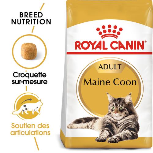 Visuel 2 du produit Croquettes pour chat adulte Maine Coon Royal Canin - 2 kg