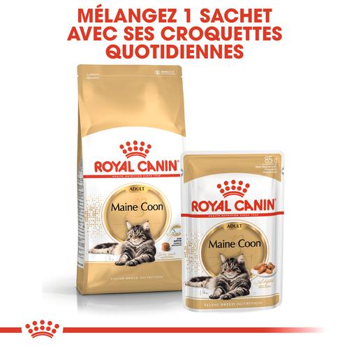 Visuel 4 du produit Croquettes pour chat adulte Maine Coon Royal Canin - 2 kg