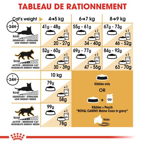 Visuel 7 du produit Croquettes pour chat adulte Maine Coon Royal Canin - 2 kg