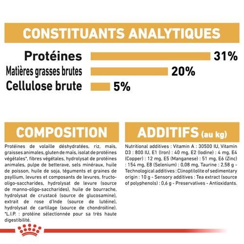 Visuel 8 du produit Croquettes pour chat adulte Maine Coon Royal Canin - 2 kg