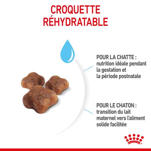 Visuel 3 du produit Croquettes pour chaton Royal Canin Mother & Babycat - 2 kg