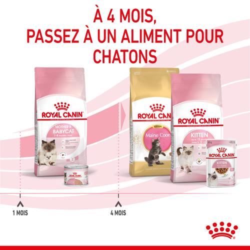 Visuel 4 du produit Croquettes pour chaton Royal Canin Mother & Babycat - 2 kg