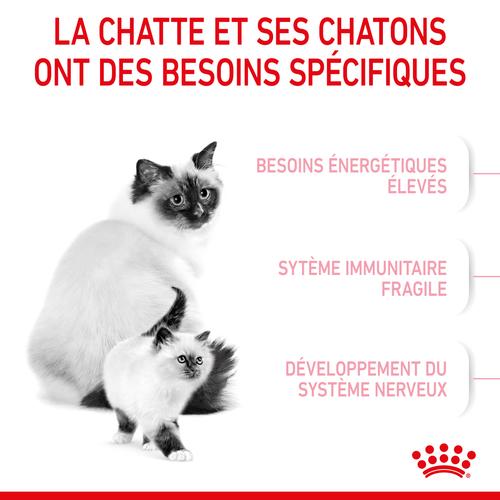 Visuel 5 du produit Croquettes pour chaton Royal Canin Mother & Babycat - 2 kg