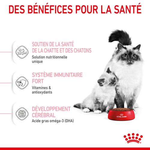 Visuel 6 du produit Croquettes pour chaton Royal Canin Mother & Babycat - 2 kg