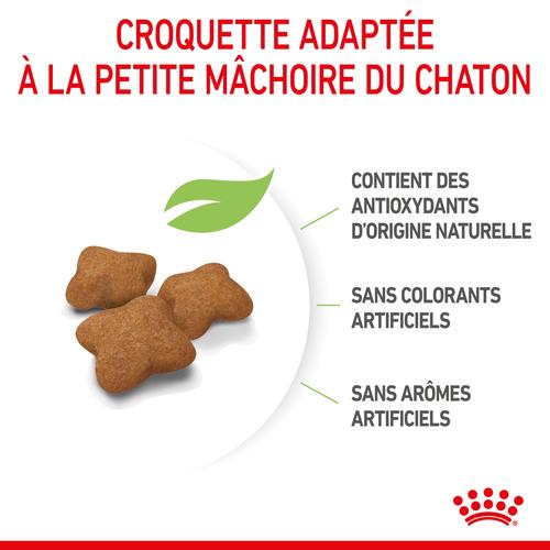 Visuel 4 du produit Croquettes pour chaton stérilisé Royal Canin Kitten Sterilised - 3,5 kg