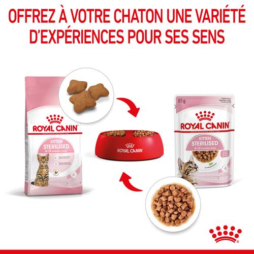 Visuel 5 du produit Pâtées pour chaton émincés en sauce Royal Canin Kitten Sterilised - 12 x 85 g