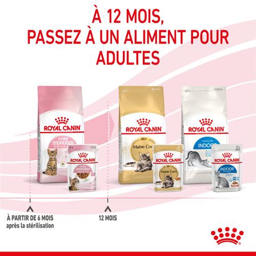 Visuel 7 du produit Pâtées pour chaton émincés en sauce Royal Canin Kitten Sterilised - 12 x 85 g
