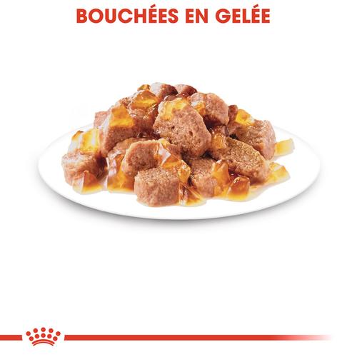 Visuel 4 du produit Sachet en gelée Royal Canin chat instinctive - 12 x 85g