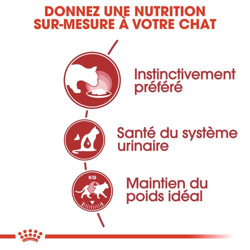 Visuel 5 du produit Sachet en gelée Royal Canin chat instinctive - 12 x 85g