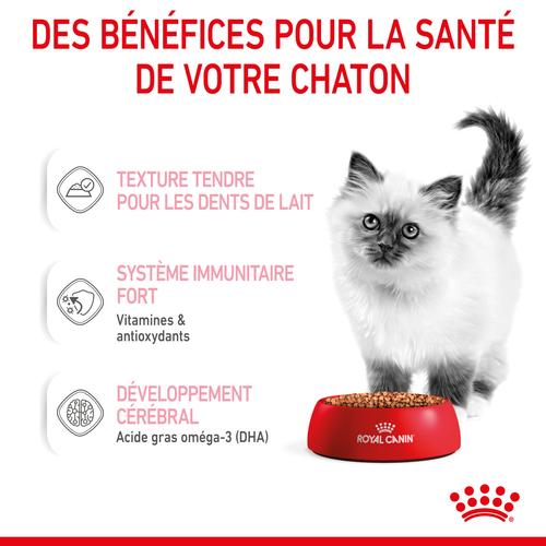 Visuel 5 du produit Pâtées pour chaton émincés en sauce Royal Canin Kitten - 12 x 85 g