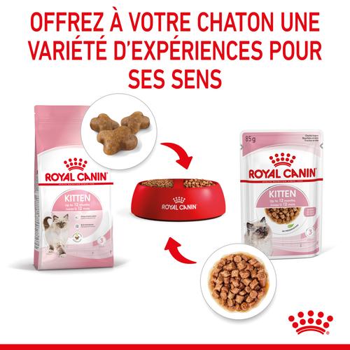 Visuel 6 du produit Pâtées pour chaton émincés en sauce Royal Canin Kitten - 12 x 85 g