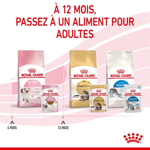 Visuel 7 du produit Pâtées pour chaton émincés en sauce Royal Canin Kitten - 12 x 85 g