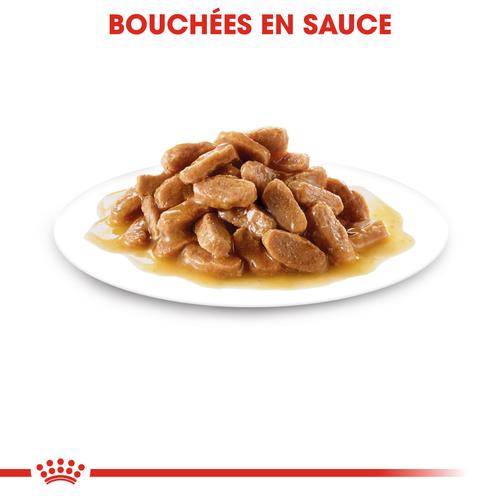 Visuel 3 du produit Pâtées pour chiot de petite taille Royal Canin Puppy Mini - 12 x 85 g