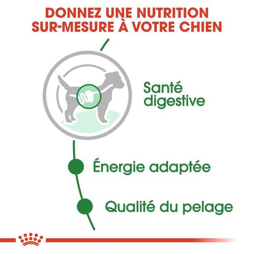 Visuel 5 du produit Pâtées pour chien adulte de petite taille Royal Canin Mini Adult - 12 x 85 g
